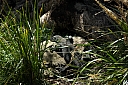 crw_3731.jpg