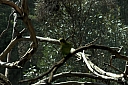 crw_3732.jpg