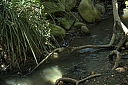 crw_3733.jpg