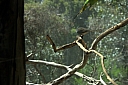 crw_3735.jpg