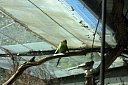 crw_3736.jpg