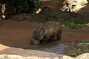 crw_3737.jpg