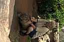 crw_3738.jpg