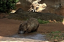 crw_3739.jpg