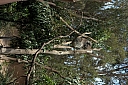 crw_3740.jpg