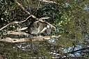 crw_3741.jpg