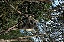 crw_3742.jpg