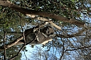 crw_3743.jpg