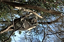 crw_3744.jpg