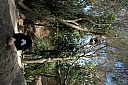 crw_3745.jpg