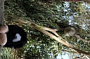 crw_3746.jpg