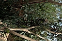 crw_3747.jpg