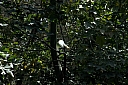 crw_3748.jpg