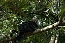 crw_3749.jpg