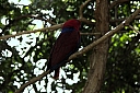 crw_3750.jpg