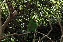 crw_3751.jpg