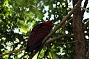 crw_3752.jpg