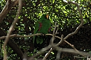 crw_3753.jpg