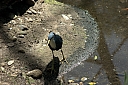 crw_3754.jpg