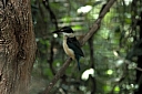 crw_3755.jpg