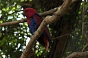 crw_3756.jpg