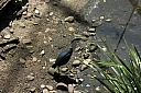 crw_3757.jpg