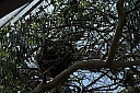 crw_3758.jpg