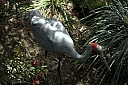 crw_3759.jpg