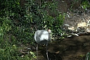 crw_3760.jpg