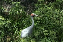 crw_3762.jpg