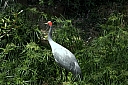 crw_3763.jpg