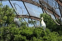 crw_3765.jpg