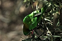 crw_3766.jpg