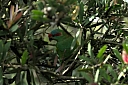 crw_3767.jpg