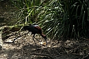 crw_3768.jpg