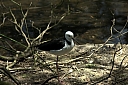 crw_3769.jpg