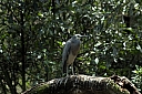 crw_3771.jpg