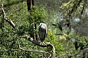 crw_3772.jpg