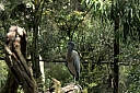 crw_3773.jpg