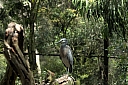 crw_3774.jpg