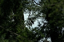 crw_3775.jpg