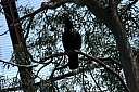 crw_3776.jpg
