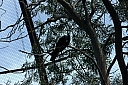 crw_3777.jpg