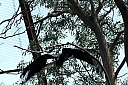 crw_3778.jpg