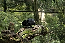 crw_3779.jpg