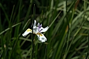 crw_3781.jpg