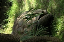 crw_3783.jpg