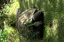 crw_3784.jpg