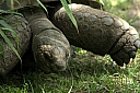 crw_3785.jpg