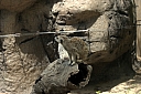 crw_3787.jpg